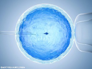 心理科